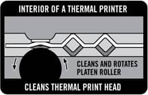 Interior of a Thermal Printer.jpg
